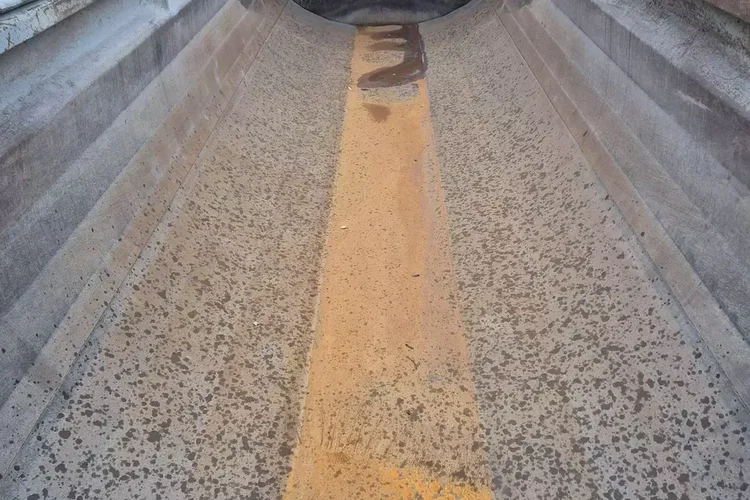 Schwarzmuller Wywrotka zdjęcie 22