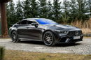 Mercedes AMG GT GT 63 S 4MATIC+ Edition One / 4.0 V8 Biturbo / 639KM / Salon PL zdjęcie 24
