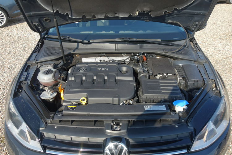 Golf Volkswagen Golf 7 1.6 diesel 110km automat pół skóry nawi zdjęcie 33