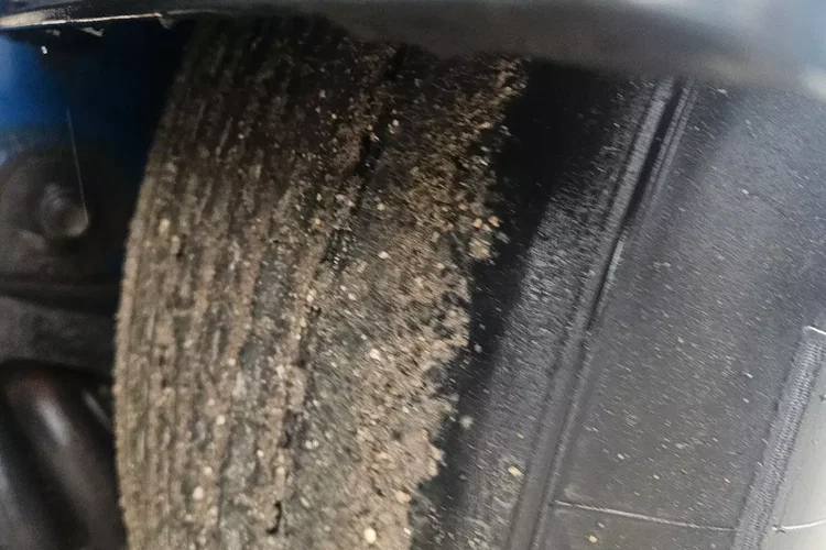 Krone SD IZOTERMA zdjęcie 17