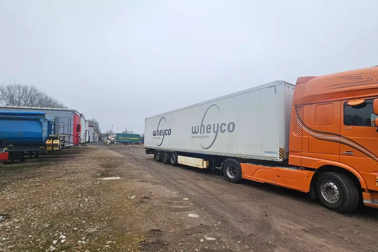 Krone SD IZOTERMA zdjęcie 23