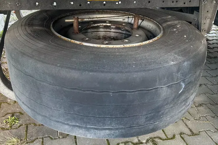 Schmitz - zdjęcie 16