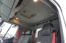 Renault D 210 / E 6 / WYWROTKA + HDS / ROTATOR zdjęcie 17