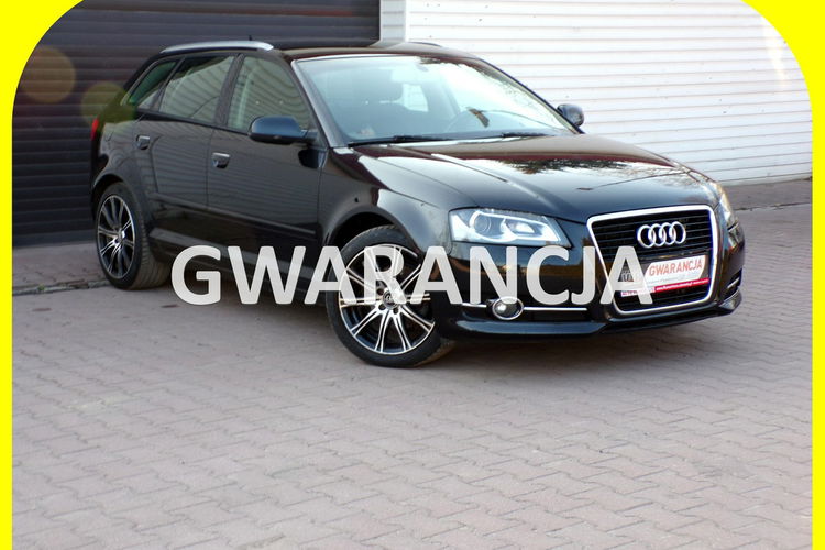 Audi A3 BI Xenon /Klimatronic /Navi / 1.6 /105KM /2012 zdjęcie 1