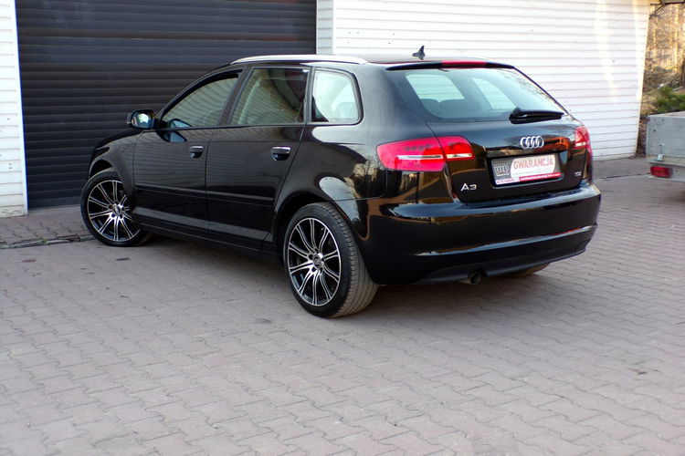 Audi A3 BI Xenon /Klimatronic /Navi / 1.6 /105KM /2012 zdjęcie 13