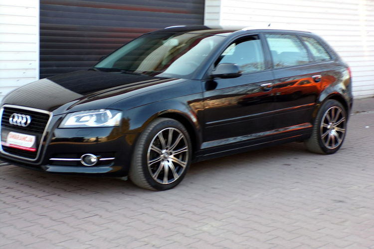 Audi A3 BI Xenon /Klimatronic /Navi / 1.6 /105KM /2012 zdjęcie 7