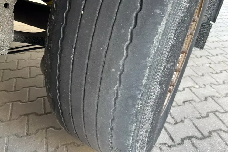 Schmitz zdjęcie 9
