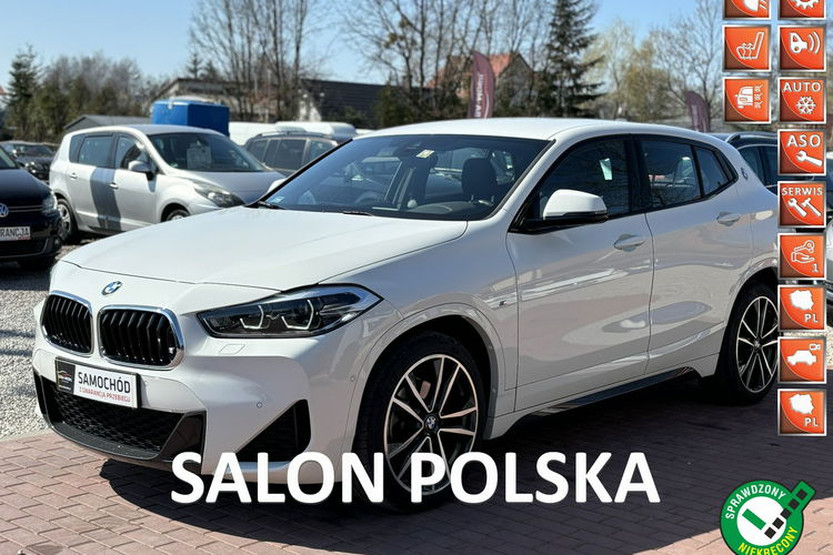BMW X2 Salon Polska, Automat, Serwis, Niski Przebieg, Stan Bardzo Dobry zdjęcie 1