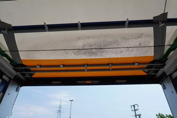 Wielton Firanka Standard / SAF / rok 2022 / NOWA / NIEUŻYWANA zdjęcie 17