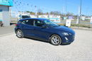 Ford Focus 1.5 EcoBlue 120KM Trend Edition zdjęcie 28