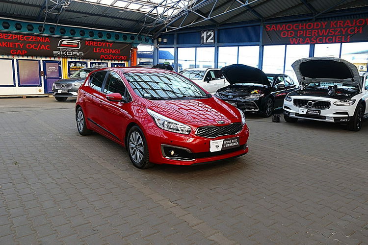 Kia Cee'd AUTOMAT 1.6i 135KM LED+Navi Serwis ASO GWARANCJA Iwł Krajowy Bezwypad 4x2 zdjęcie 3