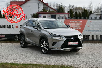 Lexus NX NX300h AWD 197KM 2021r. SALON Impression Full LED Kamera NAVi Skóra
