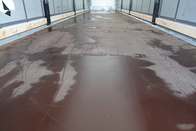 Schmitz -CARGOBULL / FIRANKA / STANDARD / OŚ PODNOSZONA / KOSZ NA PALETY  zdjęcie 19