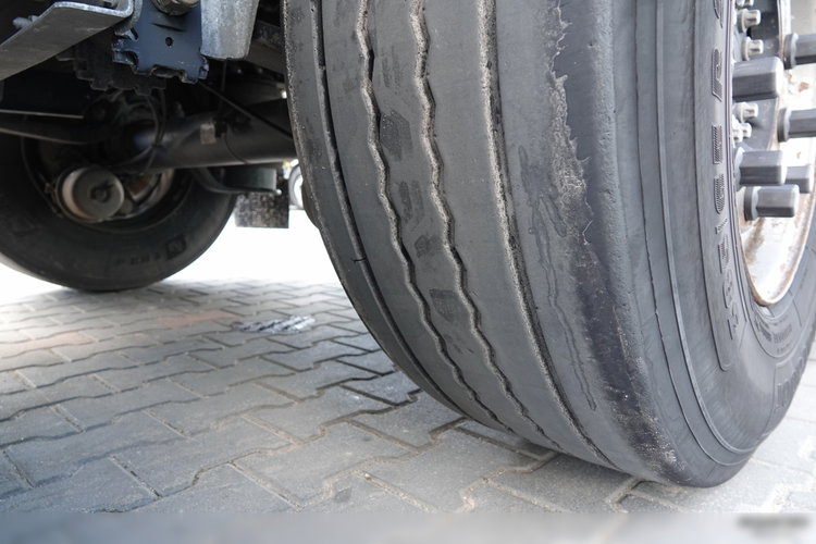 Schmitz -CARGOBULL / FIRANKA / STANDARD / OŚ PODNOSZONA / KOSZ NA PALETY  zdjęcie 23