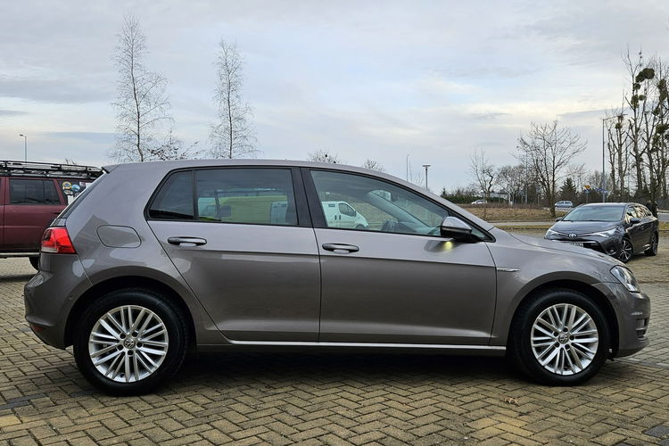 Volkswagen Golf Cup zdjęcie 10