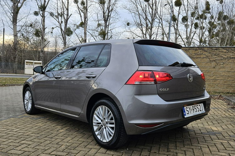 Volkswagen Golf Cup zdjęcie 3