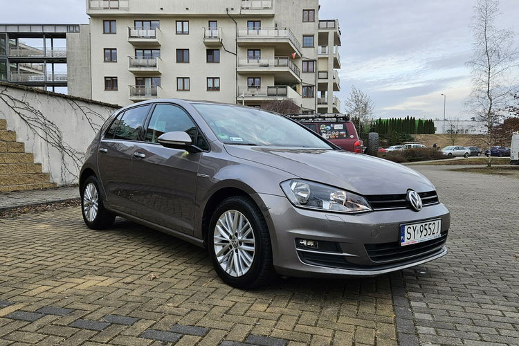 Volkswagen Golf Cup zdjęcie 4