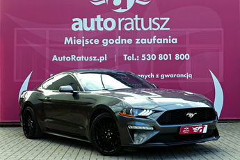 Ford Mustang Oferta Prywatna 2.3 Benzyna 317KM Świetny Stan 80 tyś KM