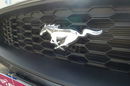 Ford Mustang Oferta Prywatna 2.3 Benzyna 317KM Świetny Stan 80 tyś KM zdjęcie 16
