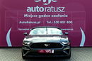 Ford Mustang Oferta Prywatna 2.3 Benzyna 317KM Świetny Stan 80 tyś KM zdjęcie 2