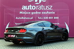 Ford Mustang Oferta Prywatna 2.3 Benzyna 317KM Świetny Stan 80 tyś KM zdjęcie 6