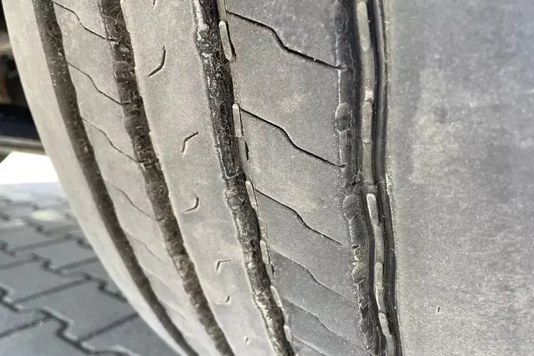 MAN TGM 18.250/ IZOTERMA/ ŁADOWNOŚC 9.2 Tony zdjęcie 17