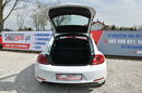 Volkswagen New Beetle 1.8TSi 180KM DSG 2015r. Skóra NAVi doinwestowany Super STAN zdjęcie 23