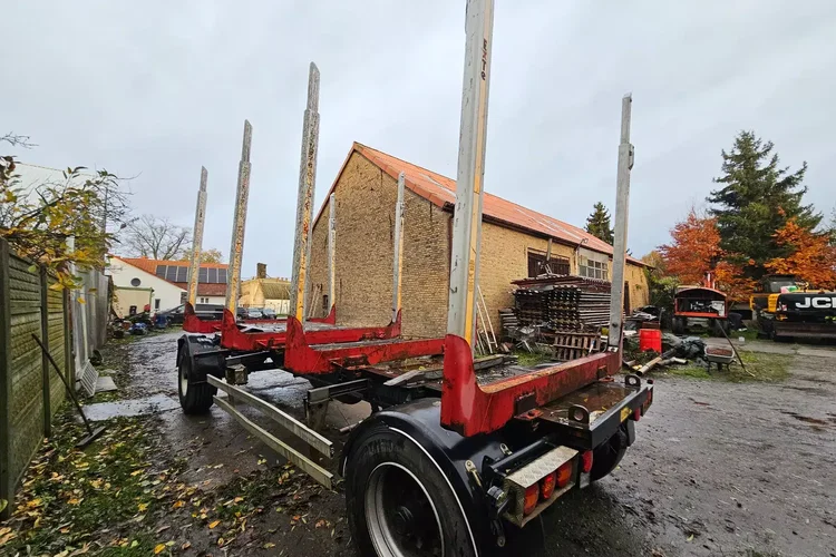 Inna AS MIELKE - DO LASU DO DRZEWA DO DREWNA zdjęcie 3