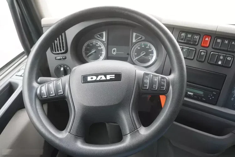 DAF LF 290 / Kontener 21 EPAL / 2021 zdjęcie 17