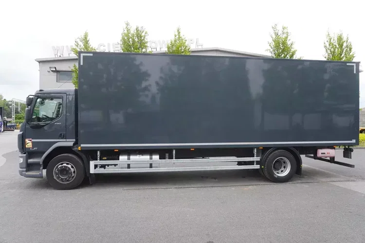DAF LF 290 / Kontener 21 EPAL / 2021 zdjęcie 3