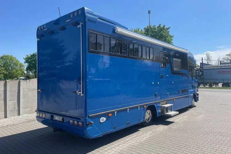 MAN TGL 12.250/ KONIOWÓZ- ROELOFSEN/ 4 KONIE/ zdjęcie 4