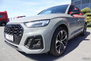 Audi SQ5 Sportback TDI Quattro S-tronic zdjęcie 24