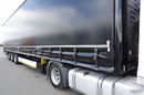 MAN TGX 18.460 / RETARDER / LOWDECK / ZESTAW + WIELTON FIRANKA / MEGA / OŚ PODNOSZONA / SAF / 2018 / PO KONTRAKCIE SERWISOWYM zdjęcie 17