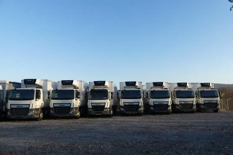 DAF CF 370 / 6x2 / CHŁODNIA 8.25 + WINDA / EURO 6 / zdjęcie 11