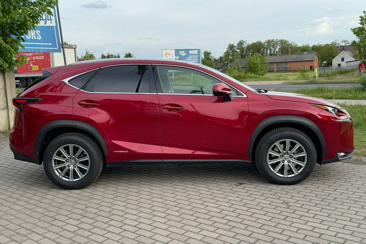 Lexus NX NX300h Krajowy BDB stan zdjęcie 15