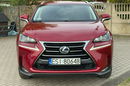 Lexus NX NX300h Krajowy BDB stan zdjęcie 17