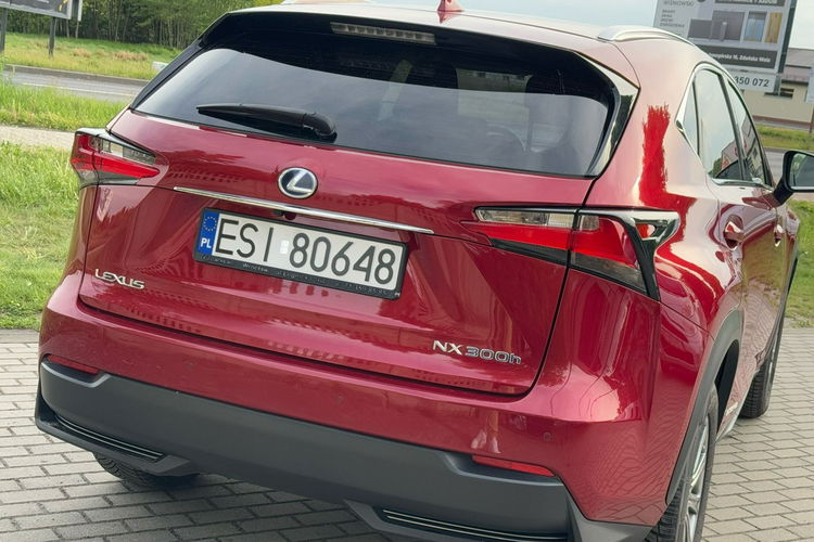 Lexus NX NX300h Krajowy BDB stan zdjęcie 8