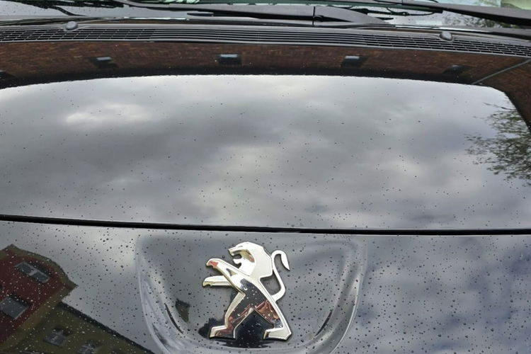 Peugeot Expert Brygadówka 6 Osobowy Zarejestrowy Klimatyzacja Ks. Serwisowa 2.0 HDI zdjęcie 2