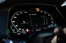 BMW X6 M50 Salon PL 1 właściciel zdjęcie 9