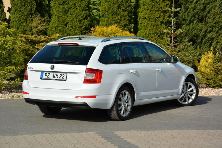 Octavia Skóry Navi Radar ACC Duża2xParktronici Bi-Xenon Ledy ASO SKODA zdjęcie 14