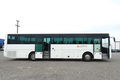 autobus MAN zdjęcie 21