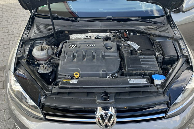 Volkswagen Golf +ALLSTAR+Podgrze Fotele+Polecenia głosowe+Tempomat zdjęcie 40