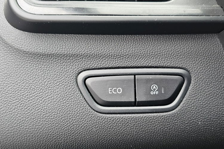 Renault Kadjar kamera cofania, serwis, klimatronik zdjęcie 28