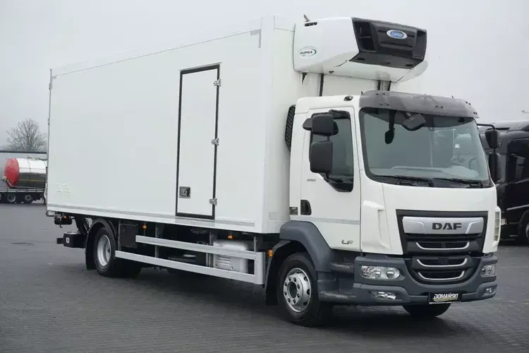 DAF LF / 260 / EURO 6 / CHŁODNIA + WINDA / 17 PALET / ŁAD. 7840 KG zdjęcie 1