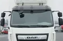 DAF LF / 260 / EURO 6 / CHŁODNIA + WINDA / 17 PALET / ŁAD. 7840 KG zdjęcie 10