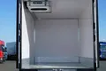 samochód ciężarowy MAN zdjęcie 10