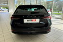 Skoda Octavia Salon Polska,  , Pierwszy Właściciel , Vat 23%, Gwarancja zdjęcie 12