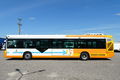 autobus Inny zdjęcie 11
