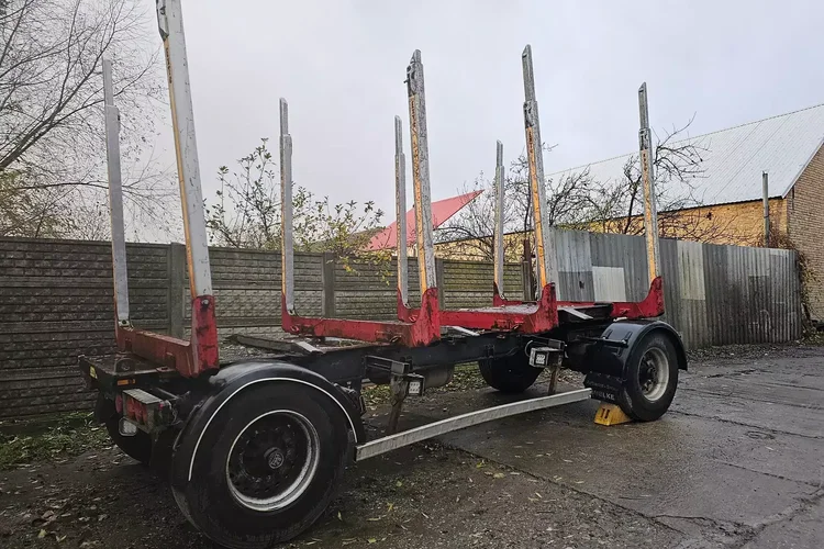 Inna AS MIELKE - DO LASU DO DRZEWA DO DREWNA zdjęcie 2