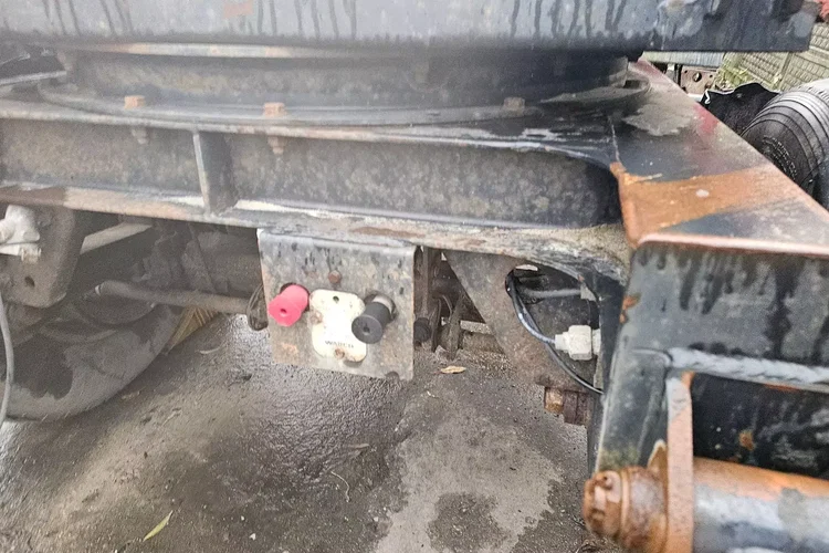 Inna AS MIELKE - DO LASU DO DRZEWA DO DREWNA zdjęcie 5